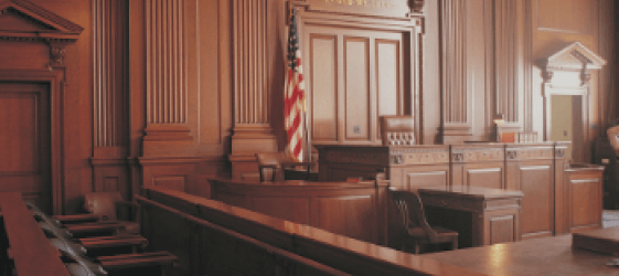 Expert Witness Testimony